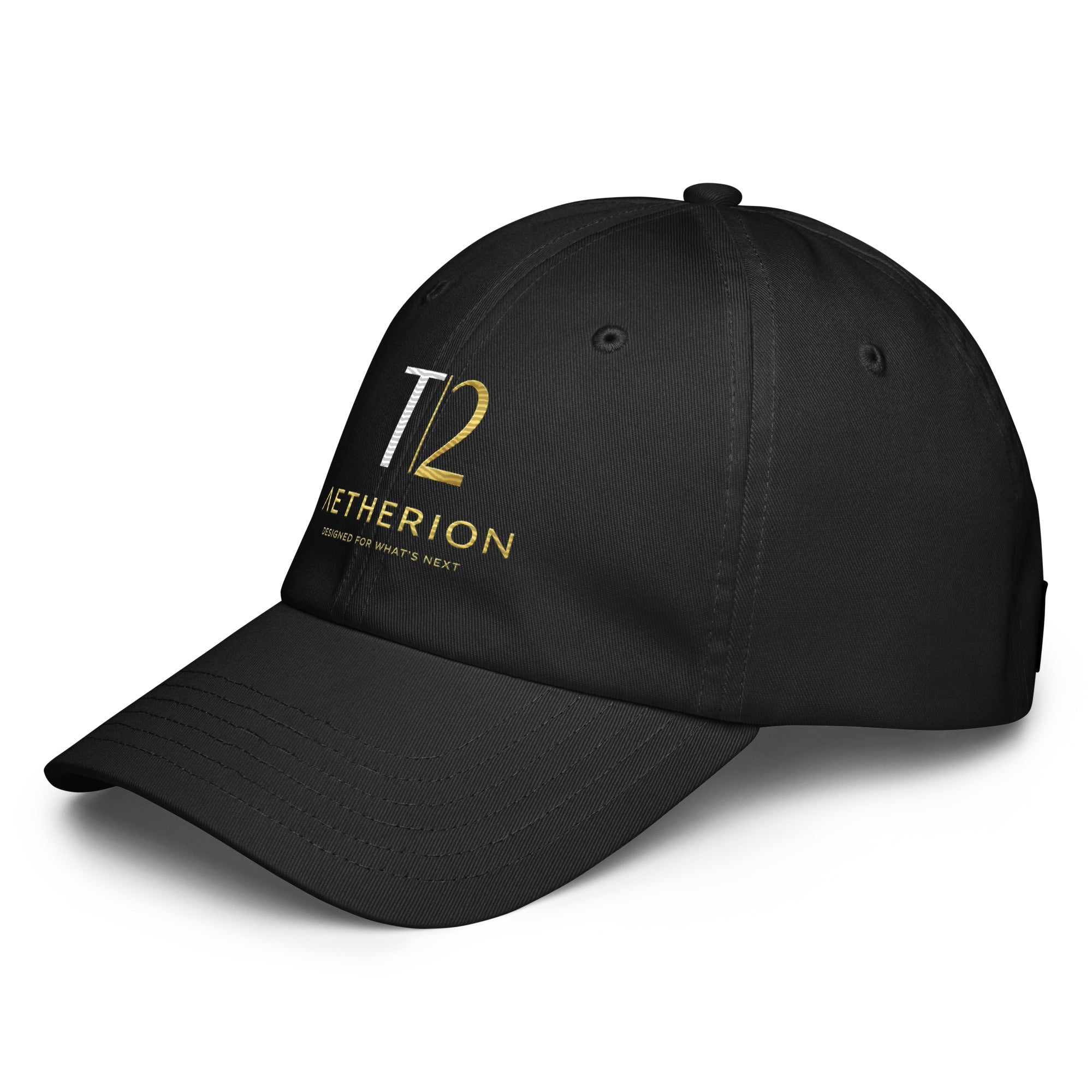 T2 Aetherion Under Armour® Premium Ball Cap - AETHERION GALLERY